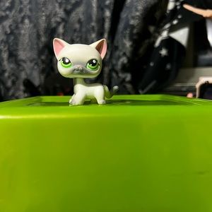 5/$20 LPS grey Siamese Cat